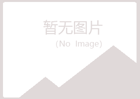 赤峰松山岑迷采矿有限公司